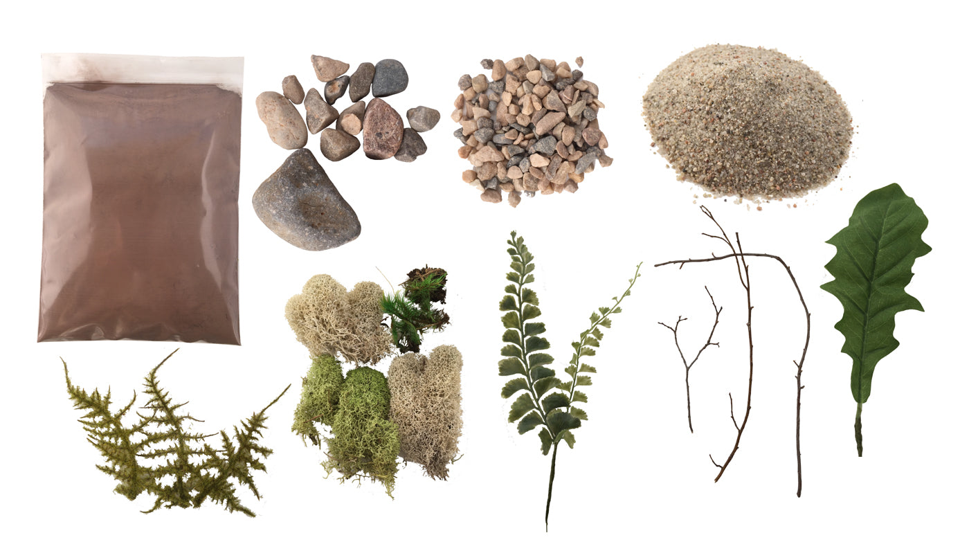 Field & Forest Biome Kit™ AntsCanada