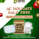 AC Holidays Sale 2022