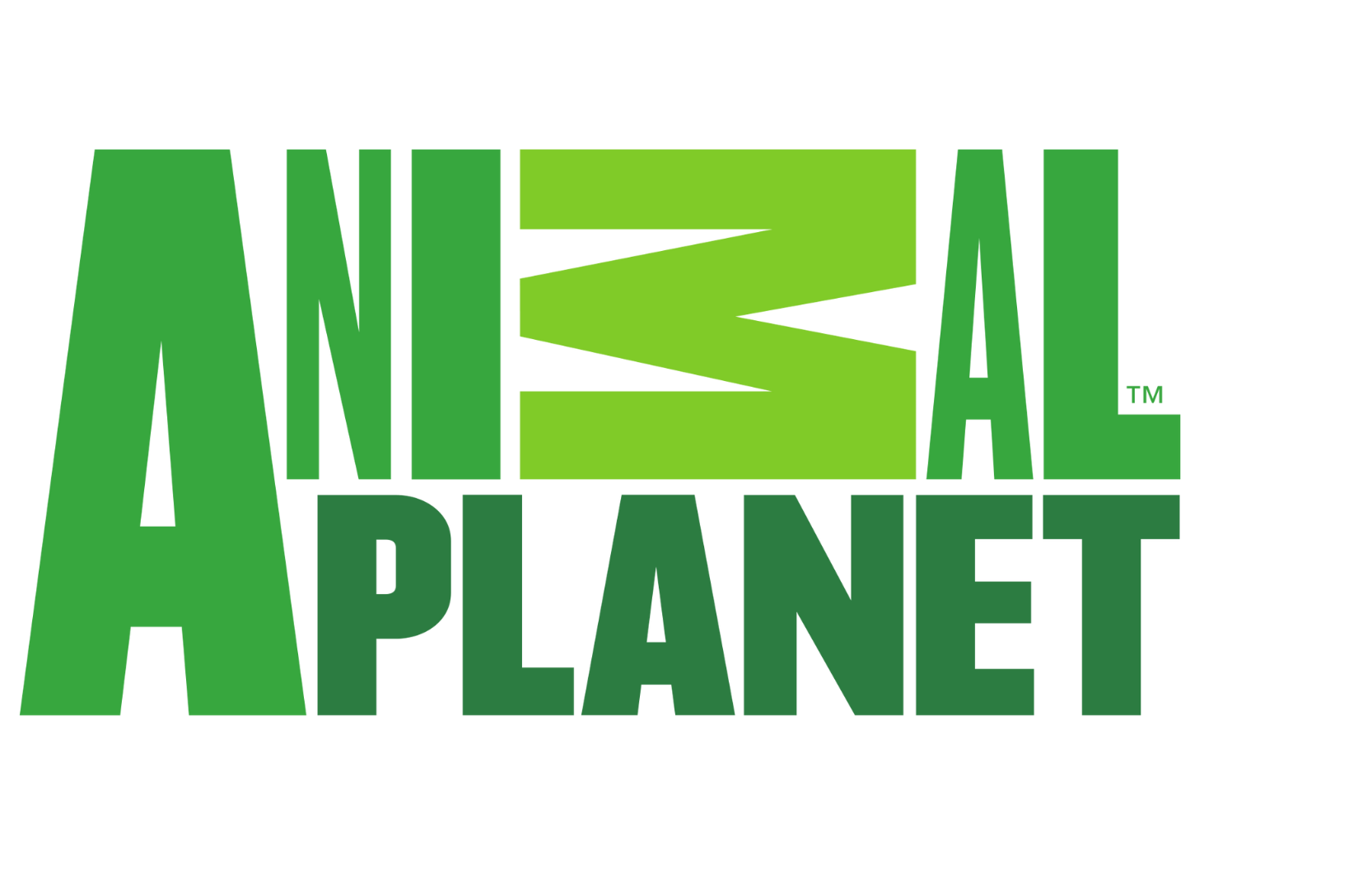 GAN Host Agreement AntsCanada