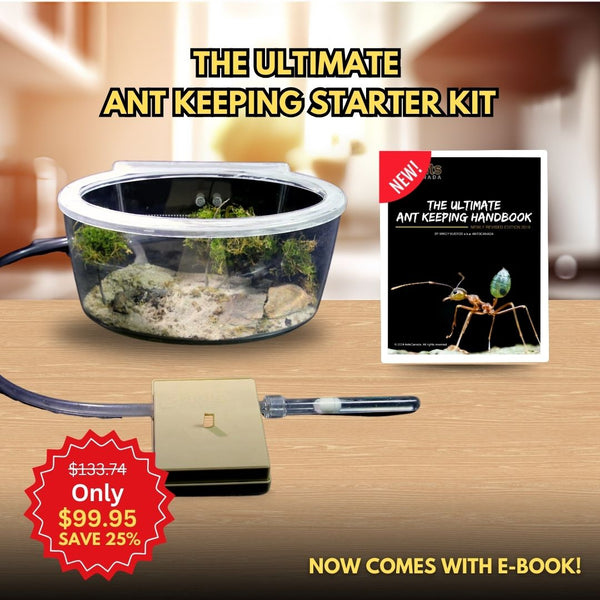 antアイテム The Ultimate Ant Keeping Starter Kit – AntsCanada