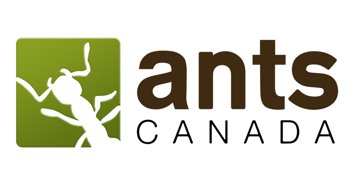 Frequently Asked Questions – AntsCanada