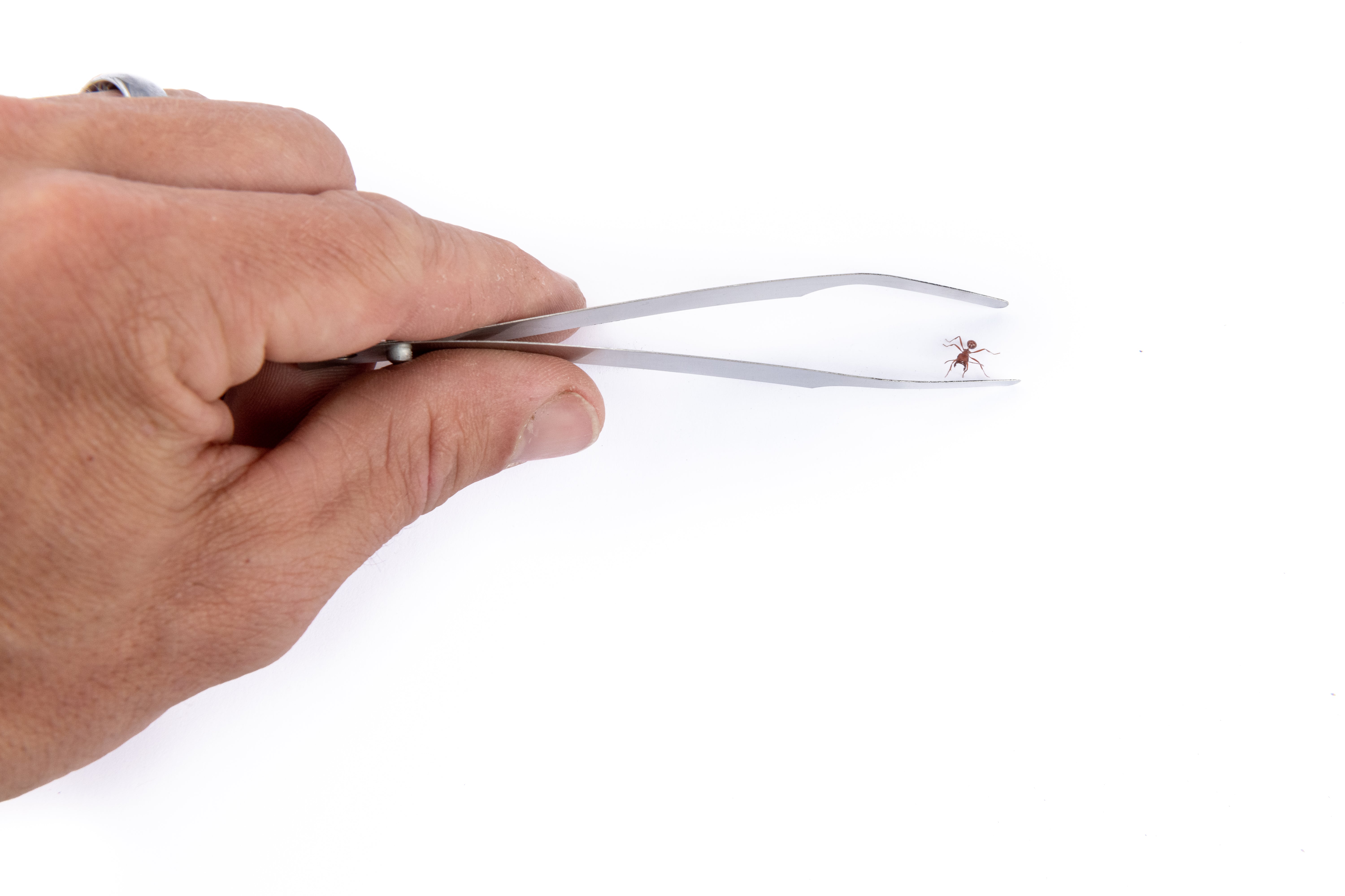 Featherweight Tweezers - Combo Pack