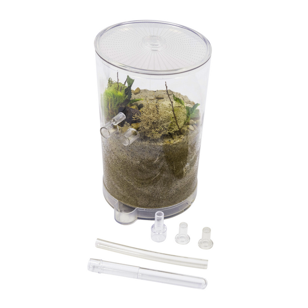 Ant Tower™ Large Deluxe – AntsCanada
