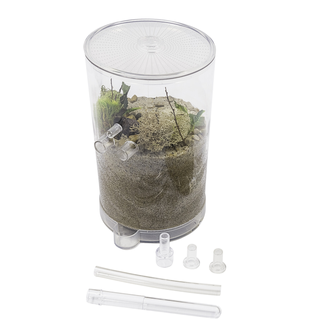 Large Ant Box Ant Tower™ Large Deluxe – Ants Canada