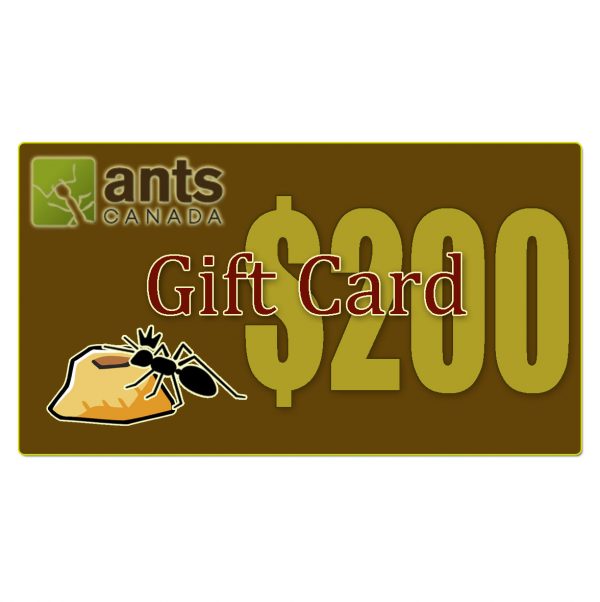 E-Gift Card ($100.00)