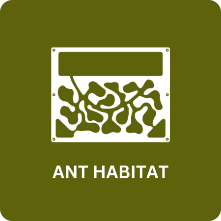 Ant Habitat