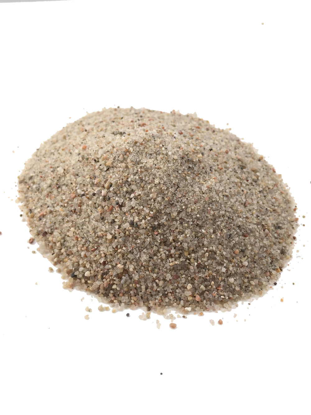 Biome Kits AntsCanada