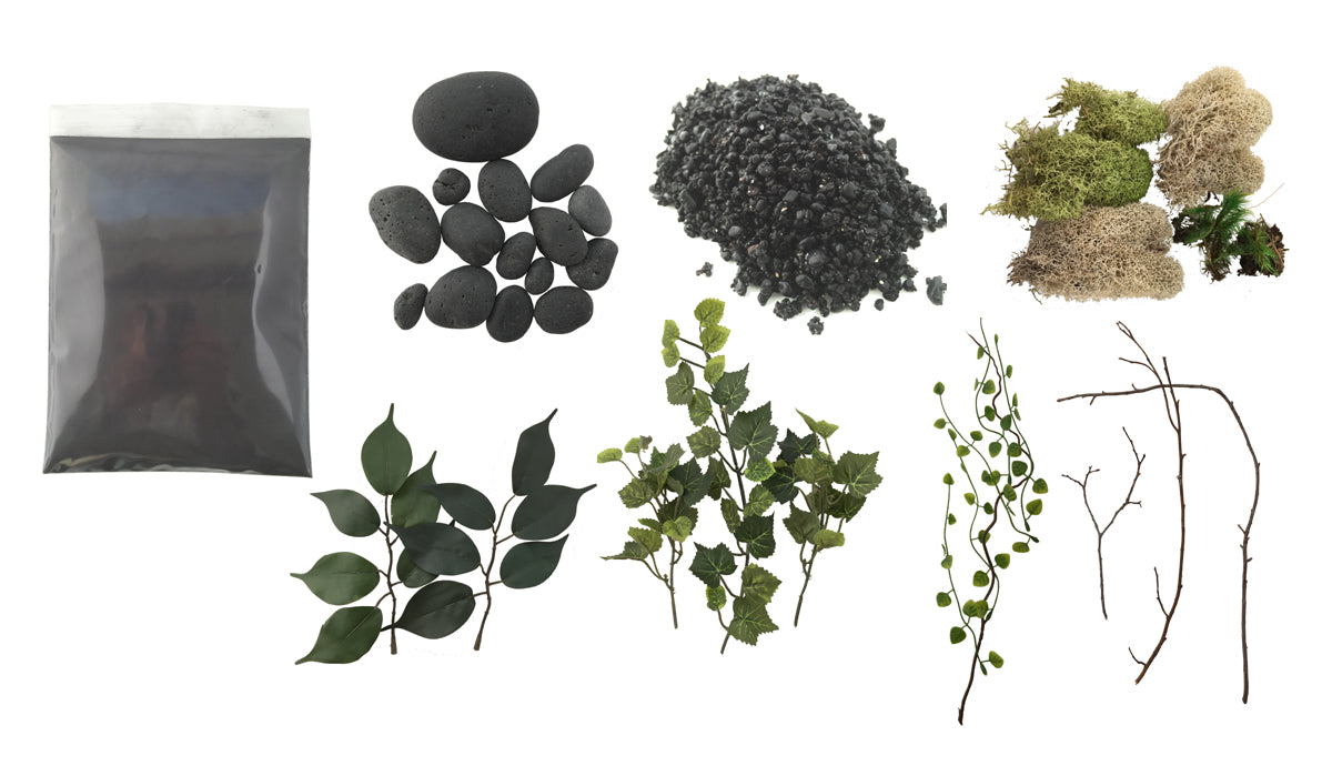 Rainforest Biome Kit™ AntsCanada