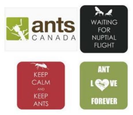Merchandise AntsCanada
