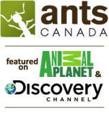 antscanada has been featured on Animal Planet & Discovery Channel