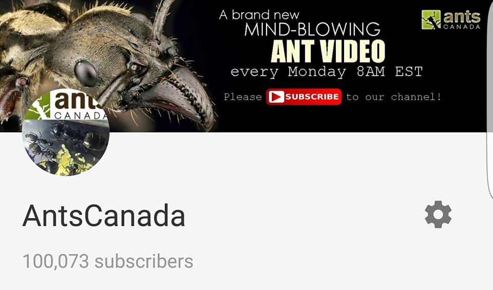 New Viral Video & Over 100K Subs on the AntsCanada  Channel -  AntsCanada